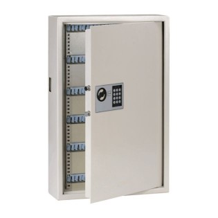 Automotive Electronic Key Safesone