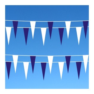 Icicle Fluorescent Pennant Buntingone