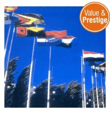 Fibreglass Flagpolesone