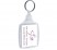 Six Series Large Rectangular Plastic Keyringsone