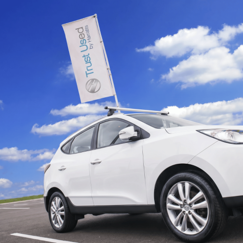 Portable Flagpole with Rotating Arm & Car Wheelbase